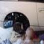 DSC00017.jpg