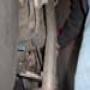 DSC00019.jpg
