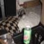 DSC00004.jpg