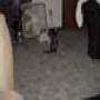 DSC00007.jpg