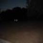 DSC00019.jpg