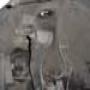 DSC00012.jpg