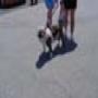 DSC00020.jpg