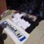 DSC00023.jpg