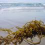 DSC01081.JPG