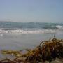DSC01082.JPG