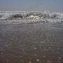 DSC01084.JPG