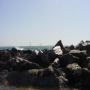 DSC01088.JPG