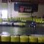DSC01852.jpg