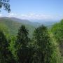 IMG_6048.jpg