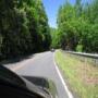 IMG_5979.jpg