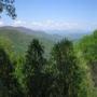 IMG_6048.jpg