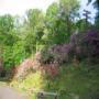 IMG_6069.jpg