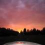 IMG_6105r.jpg
