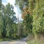 DSC_0199.JPG