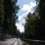 DSC_0206.JPG
